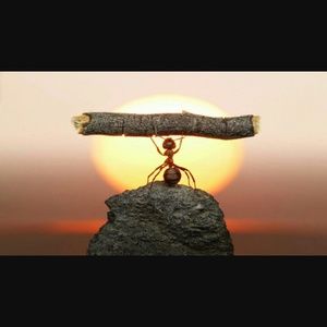 Meet your Posher, Tania