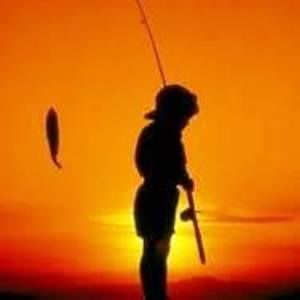 Meet your Posher, Bobbie