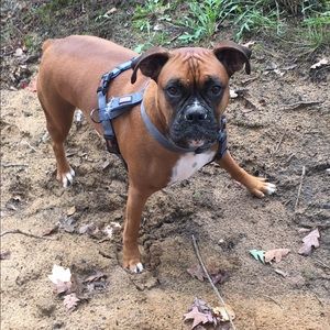 Meet your Posher, Justin