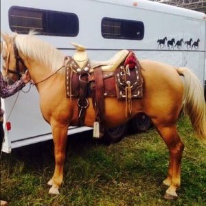 Meet your Posher, Jose