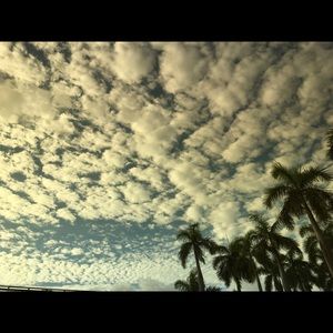 Meet your Posher, Ali