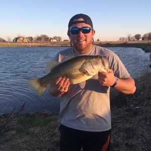 Meet your Posher, Sam