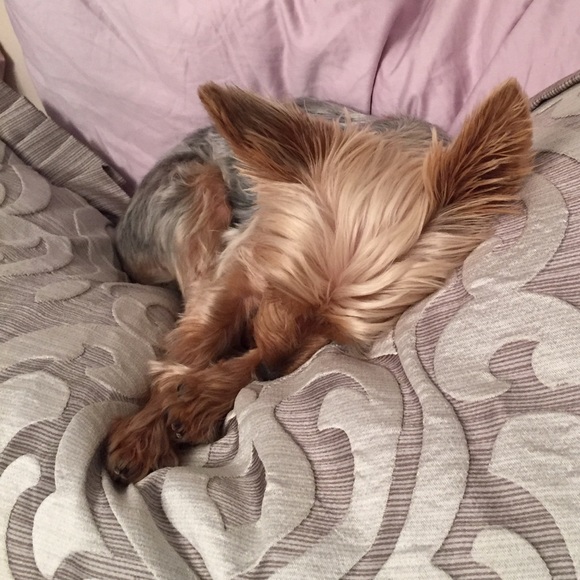 Meet your Posher, Jacqueline