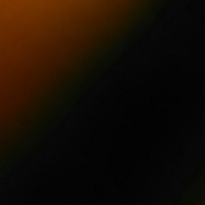 Meet your Posher, Shawdae