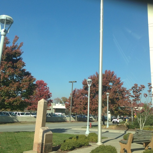 Meet your Posher, Danielle - Picture 1 of 1