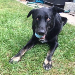 Meet your Posher, Carley