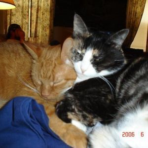 Meet your Posher, Lori