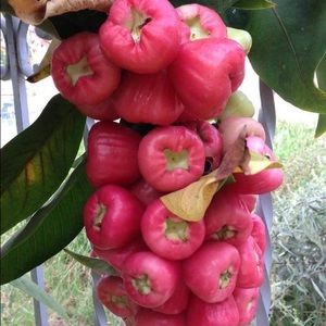 Meet your Posher, Thai