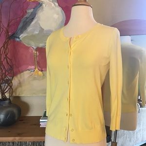 Talbots cardigan sweater