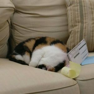 Meet your Posher, Avery