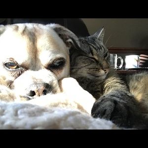 Meet your Posher, Shari