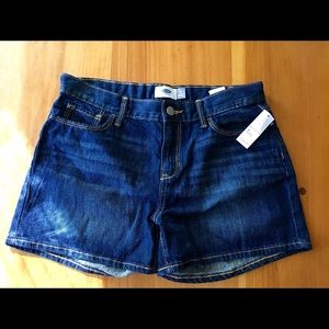 Jean Shorts- girls 16- XL- NWT