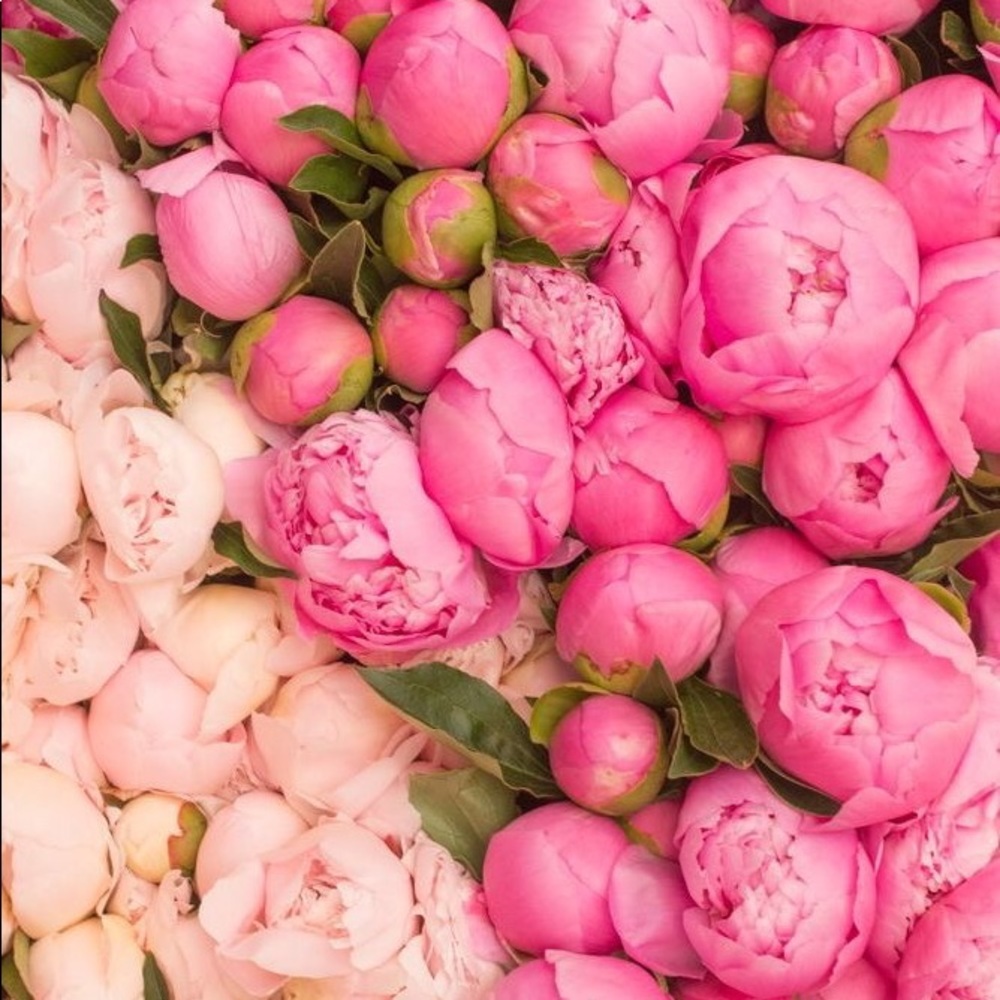 Meet your Posher, nliberties