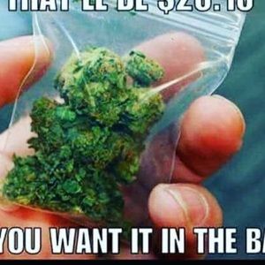 Meet your Posher, Benjy