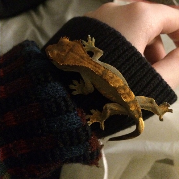 Meet your Posher, Michaella - Picture 3 of 4