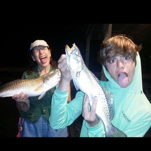 Meet your Posher, Dylan