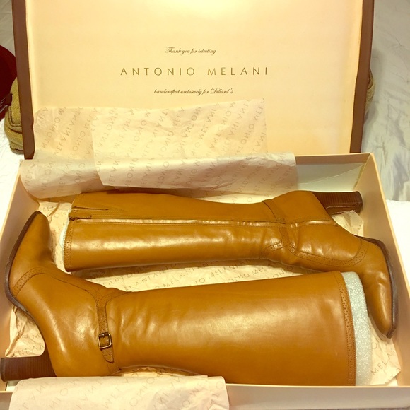 ANTONIO MELANI harness261