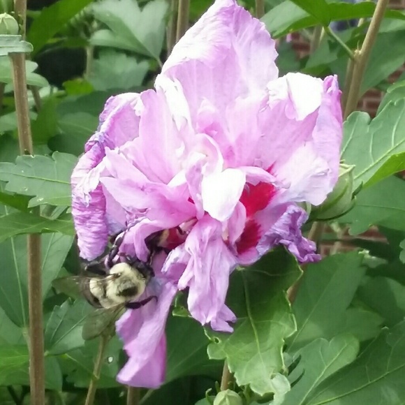 Meet your Posher, Kristi - Picture 3 of 4