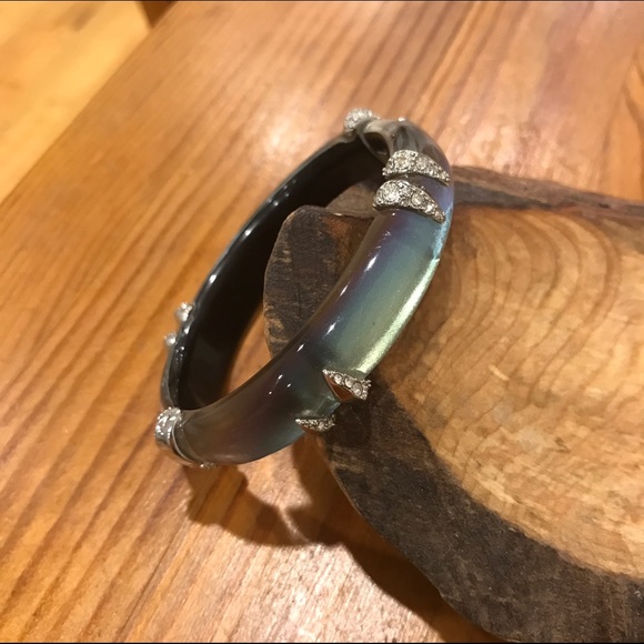 Alexis Bittar Lucite Bangle