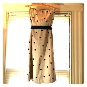 NWOT J. Crew Polka Dot Strapless Dress Size 10
