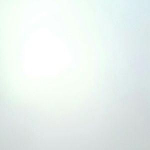 Meet your Posher, Elana