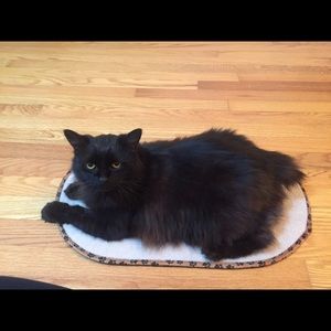 Meet your Posher, Amy