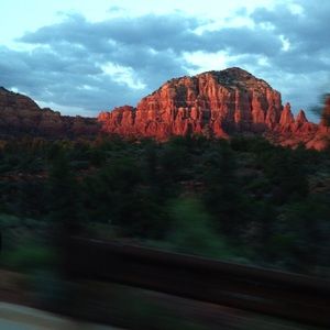 Meet your Posher, Joy