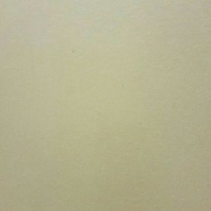 Meet your Posher, Skyler