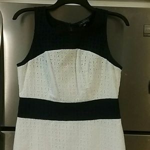 The Limited Navy Blue  and white Sleeveless Dress