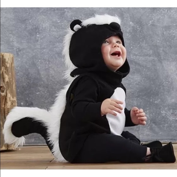Pottery Barn Kids Skunk Costume Dress Up 2T-3T