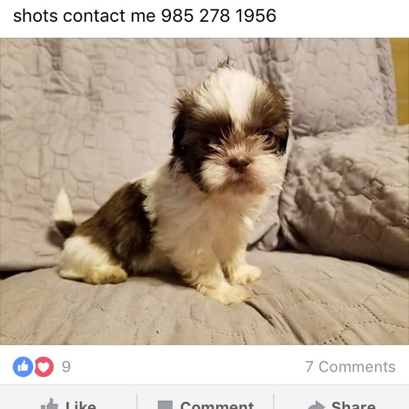 Meet your Posher, Key - Picture 1 of 1