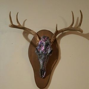 Meet your Posher, Kay