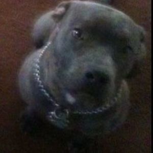 Meet your Posher, Minnie