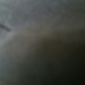 Meet your Posher, Devon