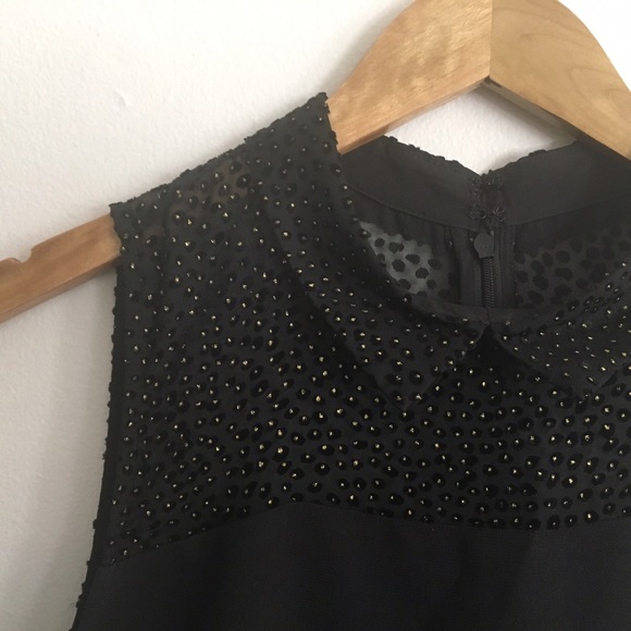 LOFT Shift Dress with Peter Pan Collar