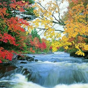 Meet your Posher, Sonya