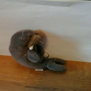 Ty beanie  baby   warus