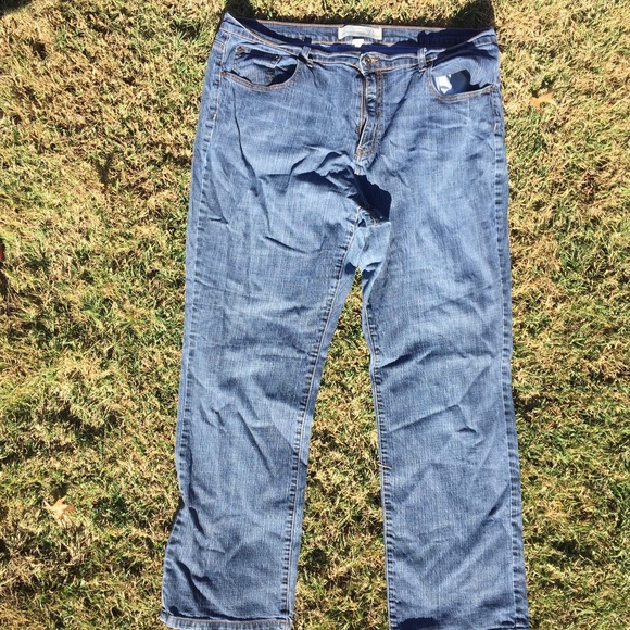 Lane Bryant Venezia Low Rise Bootcut 22 Tall