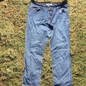 Lane Bryant Venezia Low Rise Bootcut 22 Tall