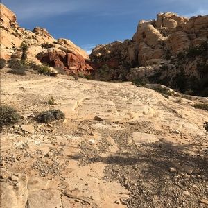 Meet your Posher, Candice