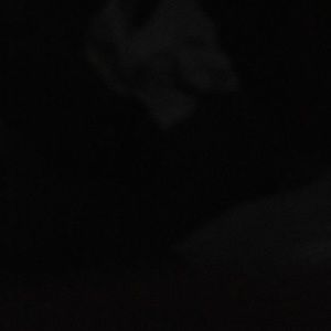 Meet your Posher, Jack