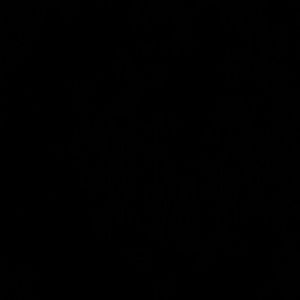 Meet your Posher, Sami