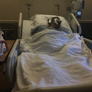 Meet your Posher, Shirley