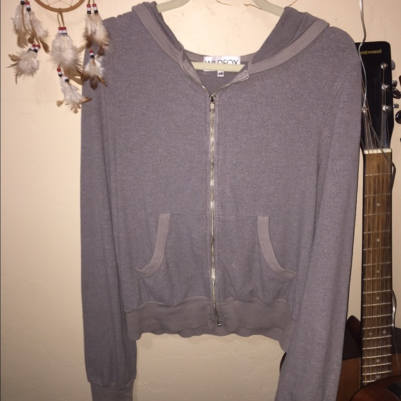 Wildfox gray Malibu hoodie 💕