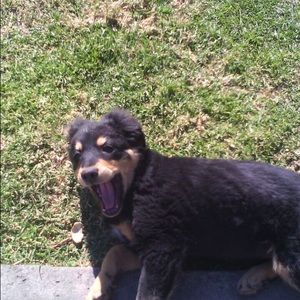 Meet your Posher, Sofia