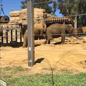 Meet your Posher, Dominic