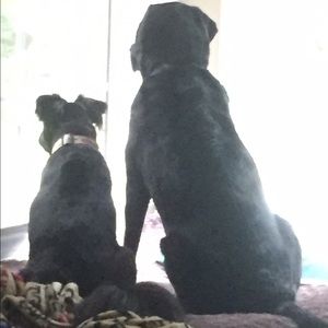 Meet your Posher, Laura