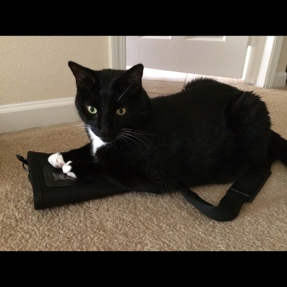 Meet your Posher, Elena - Picture 10 of 16