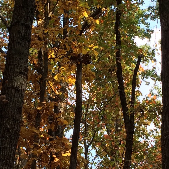 Meet your Posher, Gabbi - Picture 1 of 1