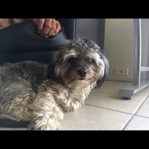 Meet your Posher, Diego